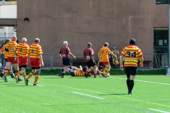 509439140_1278044853897352_8268714405622473647_n