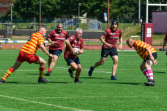 509439510_1278046450563859_718156445845815635_n