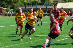 509441122_1278044647230706_5246664561446409841_n