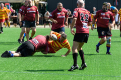 510511652_1278047473897090_6360230163329142633_n