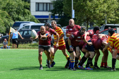 511127690_1278044297230741_8151797876154396516_n