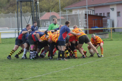 IMG_0175