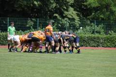 IMG_8551