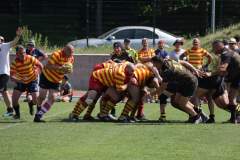 IMG_8773