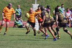 IMG_8817